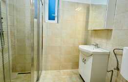 Casa de inchiriat, 200 mp, curte 200 mp, zona strazii Traian Vuia