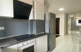 Apartament 2 camere, 60 mp, AC, garaj, imobil nou, Piata Mihai Viteazu