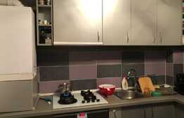 Apartament 2 camere, 55 m2, mobilat si utilat cu terasa de 11 mp!