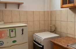 Pret redus! Apartament cu 1 camera open space, pet friendly, 28 mp, zona strazii Grigore Alexandrescu, Manastur