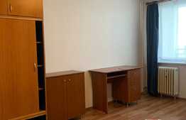 Pret redus! Apartament cu 1 camera open space, pet friendly, 28 mp, zona strazii Grigore Alexandrescu, Manastur