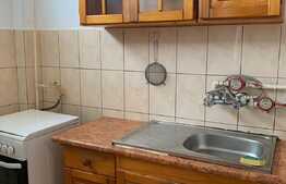 Pret redus! Apartament cu 1 camera open space, pet friendly, 28 mp, zona strazii Grigore Alexandrescu, Manastur