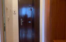 Pret redus! Apartament cu 1 camera open space, pet friendly, 28 mp, zona strazii Grigore Alexandrescu, Manastur