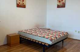 Pret redus! Apartament cu 1 camera open space, pet friendly, 28 mp, zona strazii Grigore Alexandrescu, Manastur