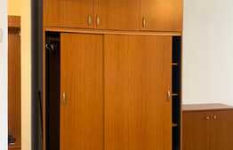 Pret redus! Apartament cu 1 camera open space, pet friendly, 28 mp, zona strazii Grigore Alexandrescu, Manastur