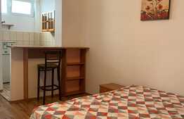 Pret redus! Apartament cu 1 camera open space, pet friendly, 28 mp, zona strazii Grigore Alexandrescu, Manastur