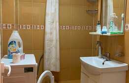 Pret redus! Apartament cu 1 camera open space, pet friendly, 28 mp, zona strazii Grigore Alexandrescu, Manastur