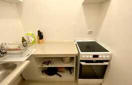 Apartament 2 camere, 70mp, gradina 100mp, Avram Iancu