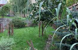 Apartament 2 camere, 70mp, gradina 100mp, Avram Iancu