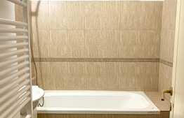 Apartament 2 camere, 70mp, gradina 100mp, Avram Iancu