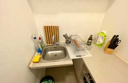 Apartament 2 camere, 70mp, gradina 100mp, Avram Iancu