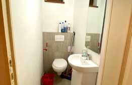 Apartament 2 camere, 70mp, gradina 100mp, Avram Iancu