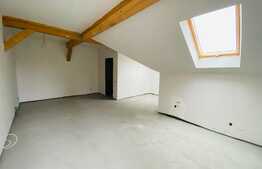Casa 11 camere, 365 mp, 3 parcari, zona Stadion CFR
