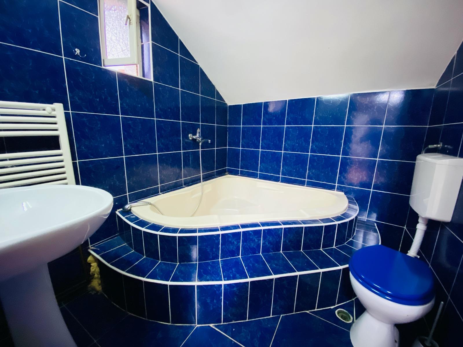 Casa de închiriat 7 camere Zorilor - 56062CI | BLITZ Cluj-Napoca | Poza13