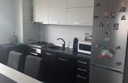 Apartament 3 camere, la cheie, 60mp, zona străzii Fagului