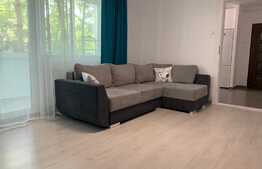 Apartament 2 camere, 55 mp, prima inchiriere, zona strazii Padis