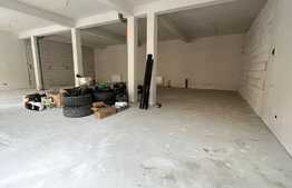 Spatiu pentru investitie sau activitate proprie, 132 mp, Vad bun!