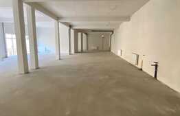 Spatiu pentru investitie sau activitate proprie, 265mp, Vad bun! 