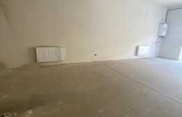 Spatiu pentru investitie sau activitate proprie, 265mp, Vad bun! 