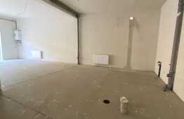 Spatiu pentru investitie sau activitate proprie, 265mp, Vad bun! 