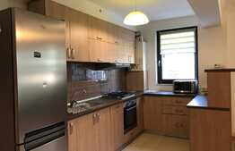 Apartament 2 camere cu terasa de 30 de mp, Borhanci 