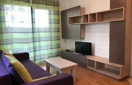 Apartament 2 camere cu terasa de 30 de mp, Borhanci 