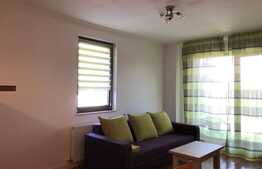 Apartament 2 camere cu terasa de 30 de mp, Borhanci 