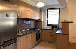 Apartament 2 camere cu terasa de 30 de mp, Borhanci 