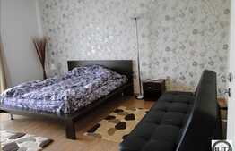 Inchiriere apartament 1 camera, decomandat 42 mp utili! Zona Oncos!
