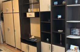 Garsoniera, 30 mp, zona strazii Detunata 