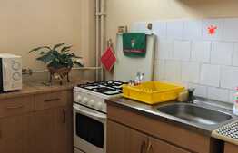 Garsoniera, 30 mp, zona strazii Detunata 