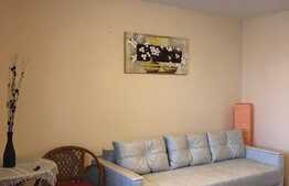 Garsoniera, 30 mp, zona strazii Detunata 