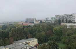 Garsoniera, 30 mp, zona strazii Detunata 