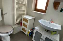 Apartament 2 camere, 55 mp, recent renovat, zona ULTRACENTRALA