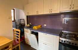 Apartament 2 camere, 55 mp, recent renovat, zona ULTRACENTRALA