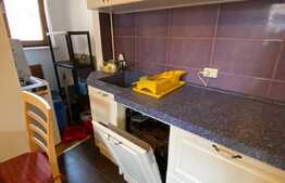 Apartament 2 camere, 55 mp, recent renovat, zona ULTRACENTRALA