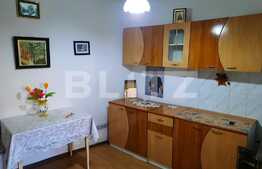 Casa individuala, 52 mp, 100 mp teren, zona Garii