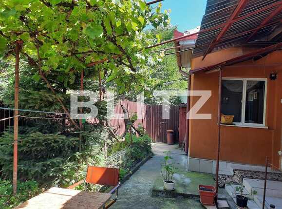 Casa de închiriat 2 camere Dambul Rotund - 56108CI | BLITZ Cluj-Napoca | Poza1