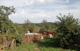 Casa noua individuala, 110 mp utili, teren gradina1850 mp, Deusu