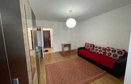 Garsoniera, 28mp, decomandata, zona Iulius Mall