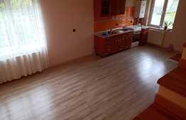 Apartament 90 mp in vila, cu pivnita 30 mp si teren 250 mp, la cheie, Baciu!