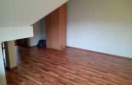 Apartament 90 mp in vila, cu pivnita 30 mp si teren 250 mp, la cheie, Baciu!