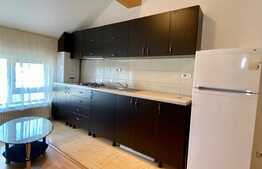 2 camere, 55 mp, mobilat modern, zona strazii Lunii!