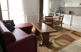 Apartament 2 camere , petfriendly, 53 mp, bloc nou, Zona Eroilor!