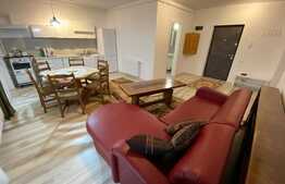 Apartament 2 camere , petfriendly, 53 mp, bloc nou, Zona Eroilor!