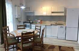 Apartament 2 camere , petfriendly, 53 mp, bloc nou, Zona Eroilor!