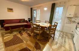 Apartament 2 camere , petfriendly, 53 mp, bloc nou, Zona Eroilor!