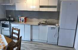Apartament 2 camere , petfriendly, 53 mp, bloc nou, Zona Eroilor!