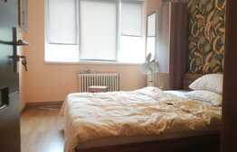 Apartament cu 3 camere in zona strazii Horea, pet friendly