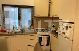 Apartament 2 camere, semidecomandat, 45mp, zona Vivo